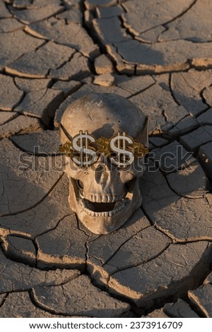The skull of a man in glasses with an American dollar symbol against a background of heat-cracked clay