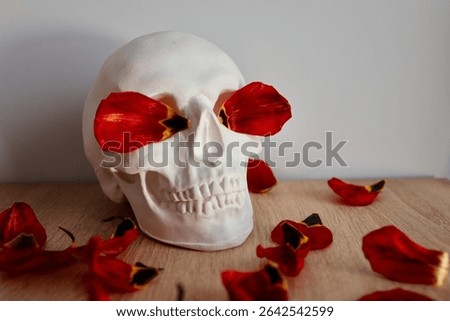 Skull model on a wooden table, against a gray wall. Plaster skull or skull model for medical research on a gray background, with flower petals in the pupils. Skull and flowers