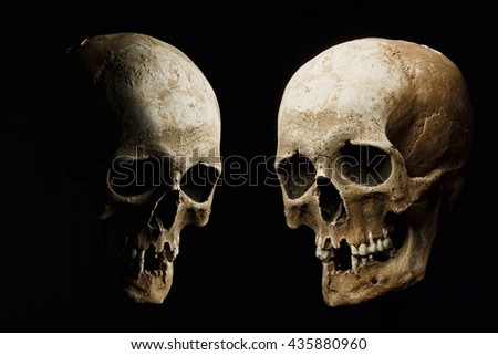 Skull model set on isolated black background. Art - design gloomy atmosphere