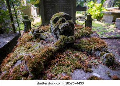 死体安置所high Res Stock Images Shutterstock