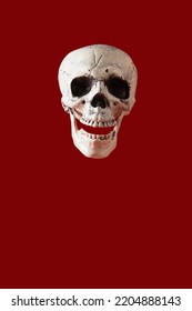 Skull On Blood Color Background, Halloween Concept