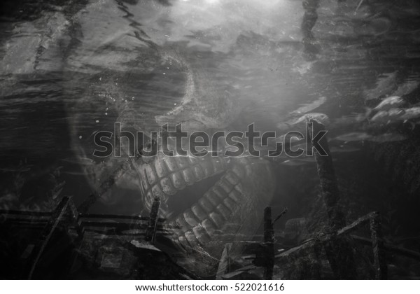 Skull on a sea, sad and bad weather background
Halloween background