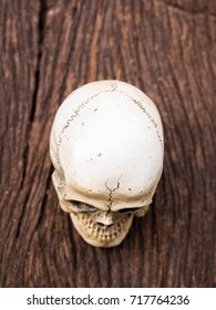 skull on wood top view.still life 