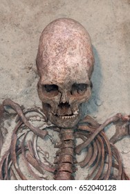 Skull and part of the alien body. Humanoid, fossilized alien old excavations archaeologist. area 51. ufo.