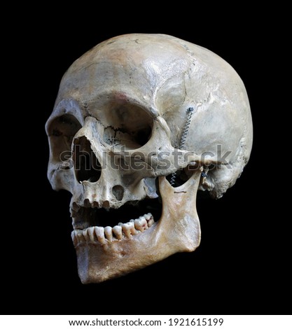 Skull of the person close up on a black background