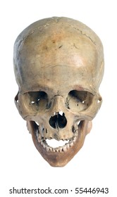 Skull of the person close-up on a white background.