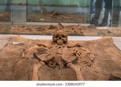 A skull and ribcage of an ancient human skeleton lies among the sand, a reminder of our species long history.
