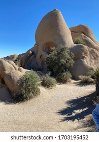 Skull Rock Joshua Tree CA