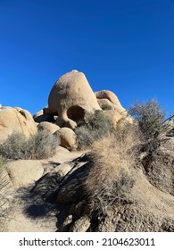 Skull Rock In Joshua Tree, CA