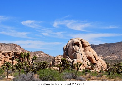 Skull Rock Joshua Tree National Park