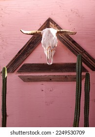Skull of Steer Mounted on Pink Wall and Dismantled Wood Frame, Flanked by Mexican Fence Post Cactus
