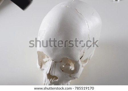 skull tool clinic