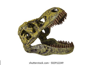 T Rex Skeleton Images Stock Photos Vectors Shutterstock - tyrannosaurus rex skeleton model roblox