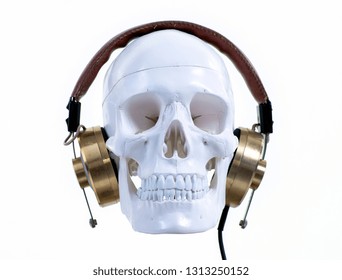 skull wearing headphones against white