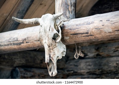 Ox Skull Attached Above Entrance Door Stock Photo (Edit Now) 1302675097