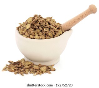 Skullcap Root Chinese Herbal Medicine In A Stone Mortar With Pestle Over White Background. Huang Qin. Scutellaria.