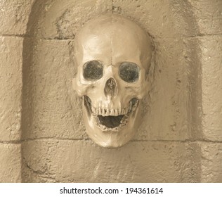 Skulls