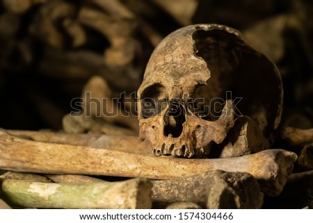 Skulls and bones in catacombs. Old broken skull placed on the bones. Underground cemetery.
