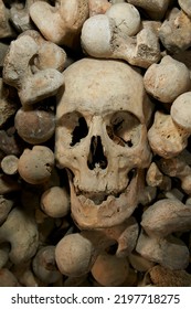 Skulls And Bones In Ossuary