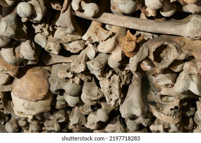 Skulls And Bones In Ossuary