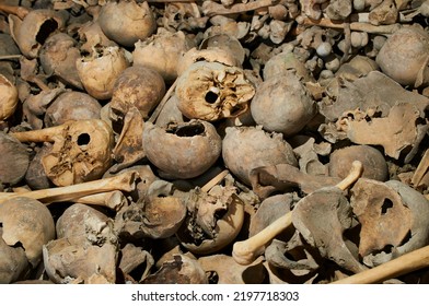 Skulls And Bones In Ossuary