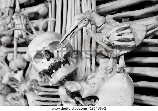 skull and bones tomb floor plan