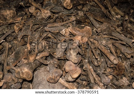 Skulls and bones wall in Parisian catacombs, Paris, France