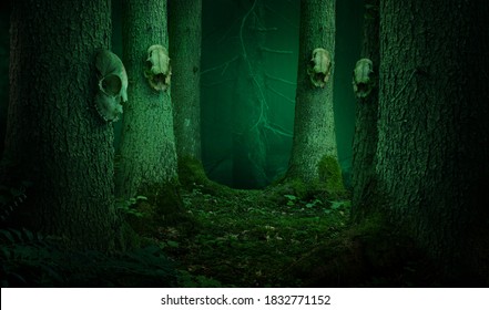 Skulls Hanging On The Trees In Dark Enchanted Forest. Shamanic Pagan Witch Ritual 