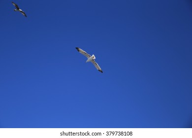 sky