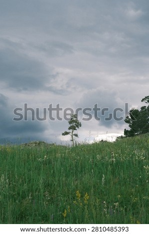 The sky above is heavy and dramatic, covered in dark, textured clouds that feel as though they might release rain at any moment.