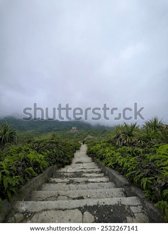 Similar – Image, Stock Photo Clouds Moving Above Autumn Pine Forest. Aerial View Flight Above Amazing Misty Forest Landscape. Scenic View Of Autumn Foggy Morning In Misty Forest Park Woods. Nature Elevated View