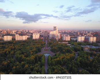 In The Sky Above Sokolniki Park 