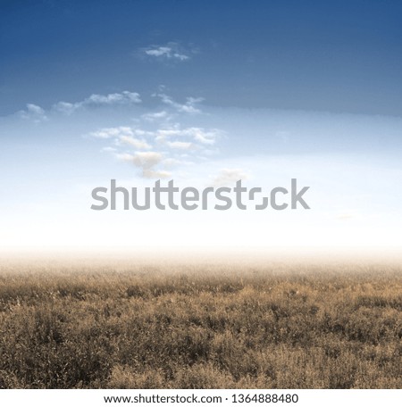 Similar – Image, Stock Photo wipe possible Blur Unclear