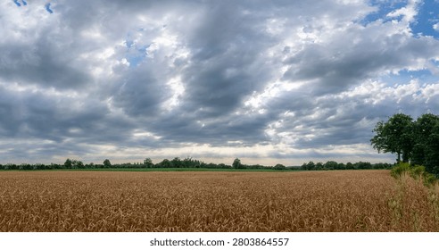Sky Background. Panoramic view of a cloudscape with sun's rays piercing through storm clouds and countryside with wheat field and trees