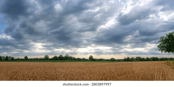 Sky Background. Panoramic view of a cloudscape with sun's rays piercing through storm clouds and countryside with wheat field and trees