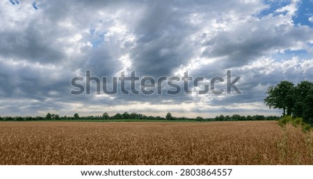 Sky Background. Panoramic view of a cloudscape with sun's rays piercing through storm clouds and countryside with wheat field and trees