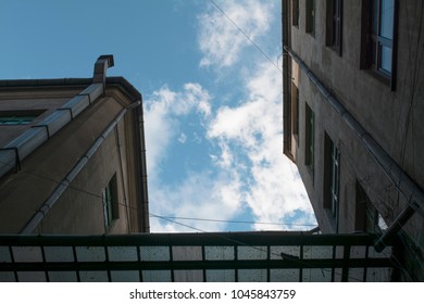the sky from below