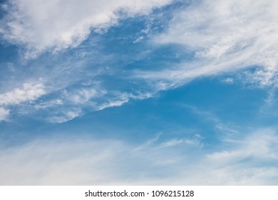 Sky / blue sky background with clouds / Sky with clouds
