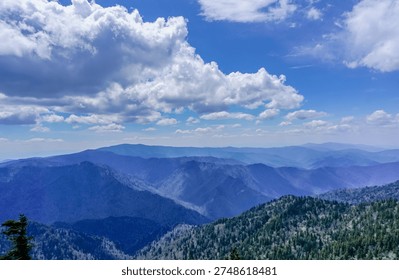 The sky is blue and cloudy, with a mountain range in the background. The mountains are covered in trees, and the sky is filled with clouds