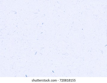 574 Sky Blue Korean Paper Images, Stock Photos & Vectors | Shutterstock