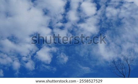 Similar – Image, Stock Photo the sky so blue Blue