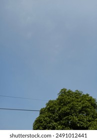 sky, cable, blue sky, cloud, tree, bright