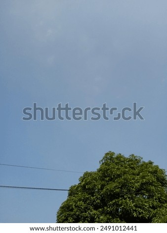 sky, cable, blue sky, cloud, tree, bright