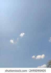 sky, cable, cloud, day, bright, tree, blue sky