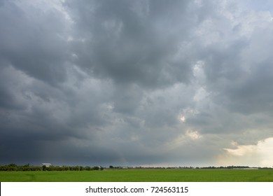 Sky with the cloud of the rainstorm is forming before heavy rain over the rice field.   
