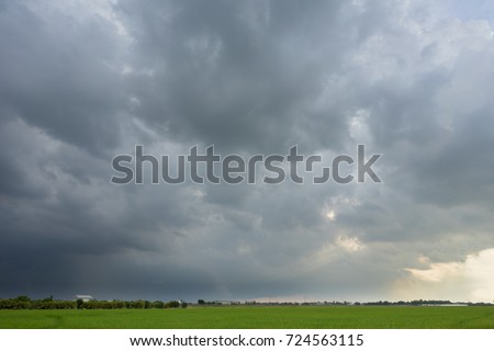 Sky with the cloud of the rainstorm is forming before heavy rain over the rice field.   