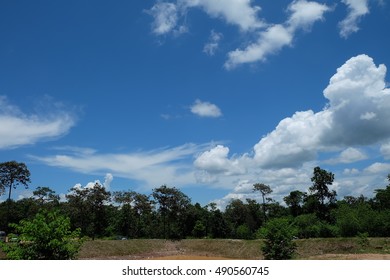 sky with cloud and trees