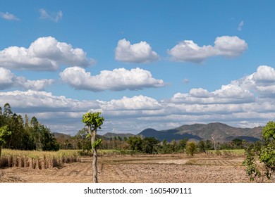 Sky clouds mountains and green trees