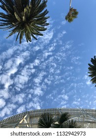 Sky Clouds Palm Melbourne City White Blue Green Holiday Work And Travel Time Out Make The Best Out Of Your Day Look Twice Change Your Point Of View