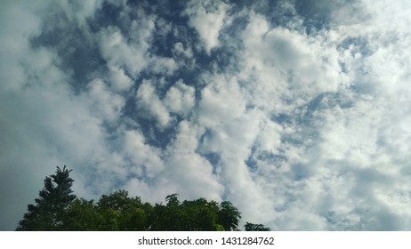 sky with clouds and tree